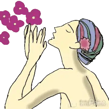 malolin　wind 