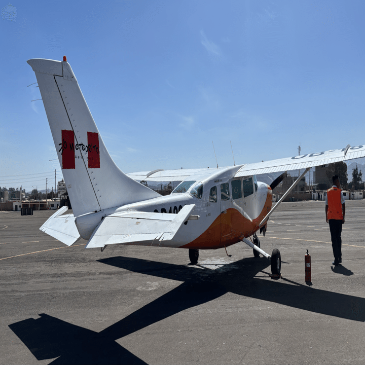 観光編 | ペルー🇵🇪③-2 | ナスカ】 ナスカの地上絵をセスナから （15
