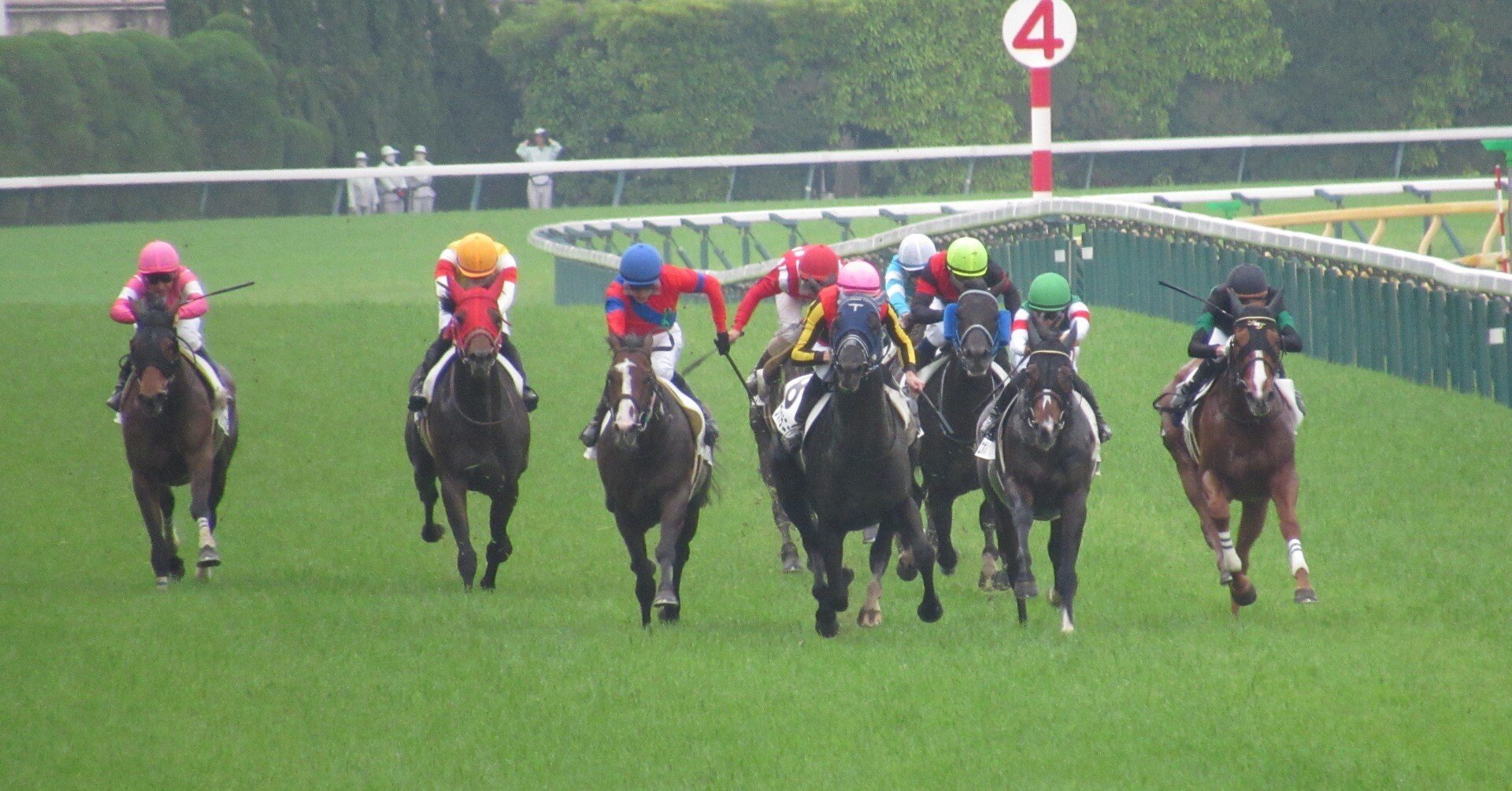 JRA 競馬ファン必見❗️ 宝塚記念優勝記念ボトル（木箱入） JRA 競馬