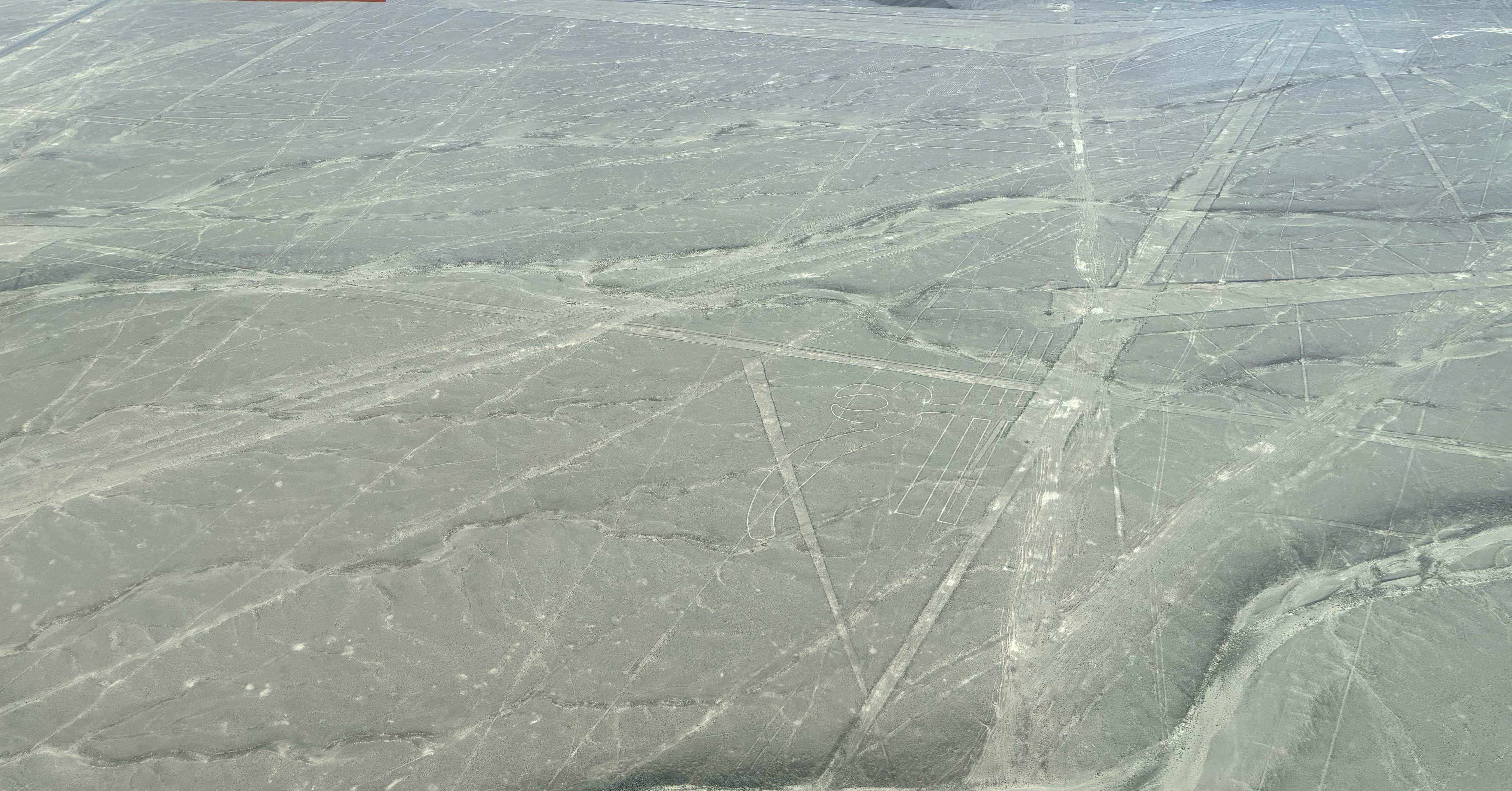 観光編 | ペルー🇵🇪③-2 | ナスカ】 ナスカの地上絵をセスナから （15