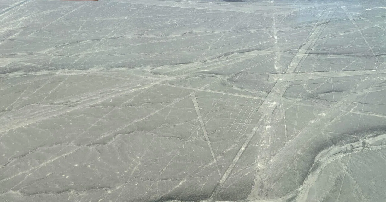 観光編 | ペルー🇵🇪③-2 | ナスカ】 ナスカの地上絵をセスナから （15