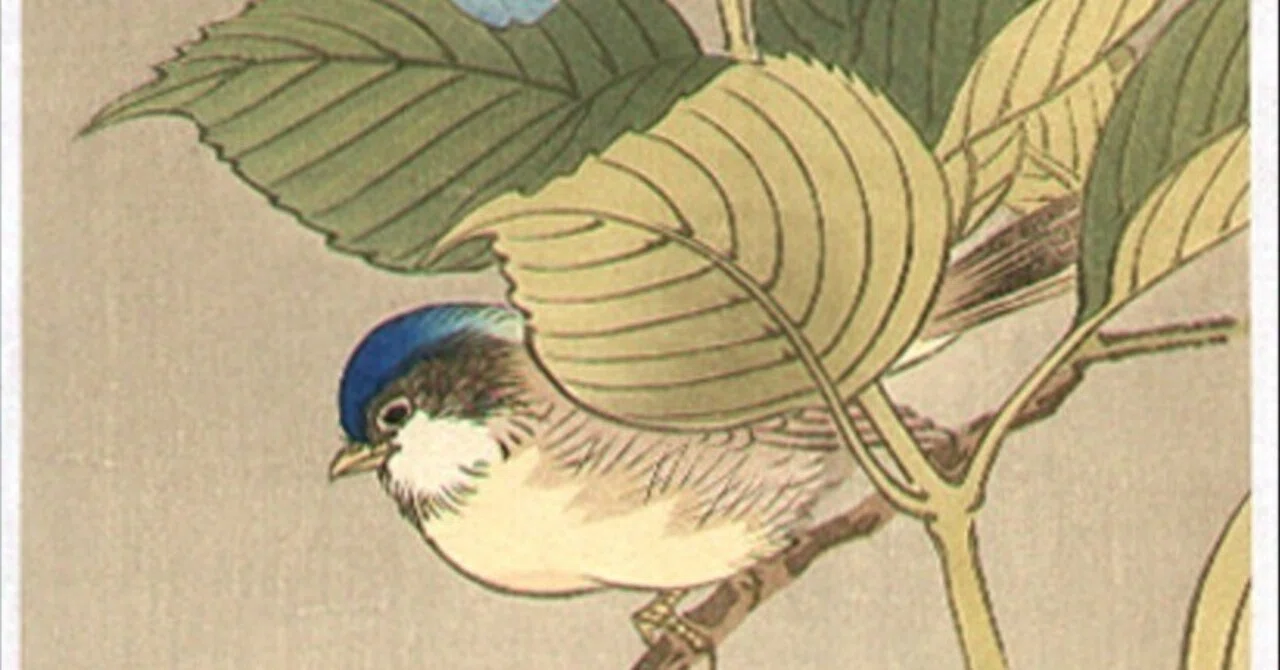 今日の一枚）河鍋暁翠：花の咲いた枝に止まる青い鳥｜artoday - chiaki