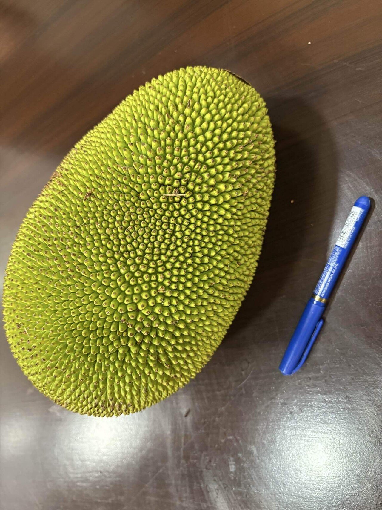 2.6キロで57円!? クセ強な果物「ジャックフルーツ」体験記@インド