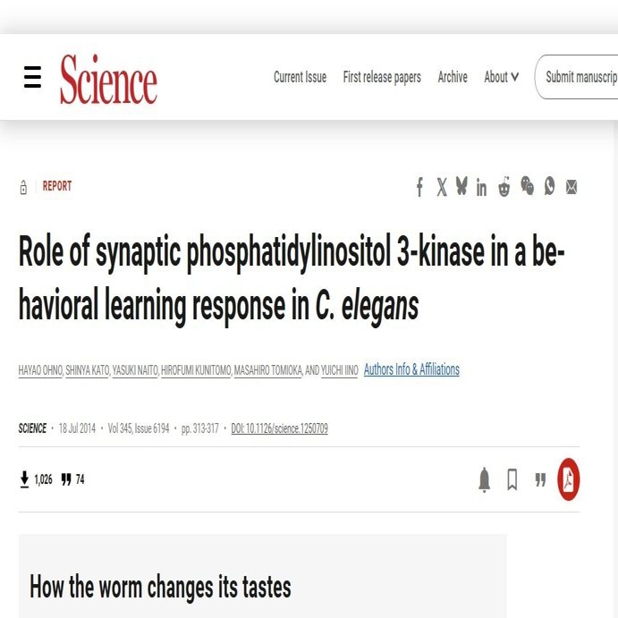 論文紹介【東大生物2025第1問: 分子の局在が連合学習の鍵となる】｜えぬ