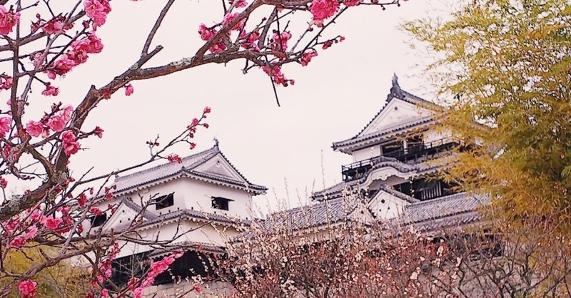 文学 賞 坊っちゃん