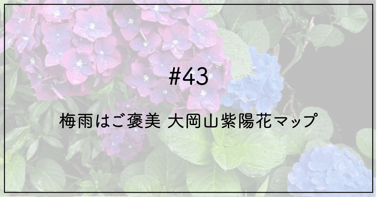 43 梅雨はご褒美 大岡山紫陽花マップ｜おおお知るまちプロジェクト