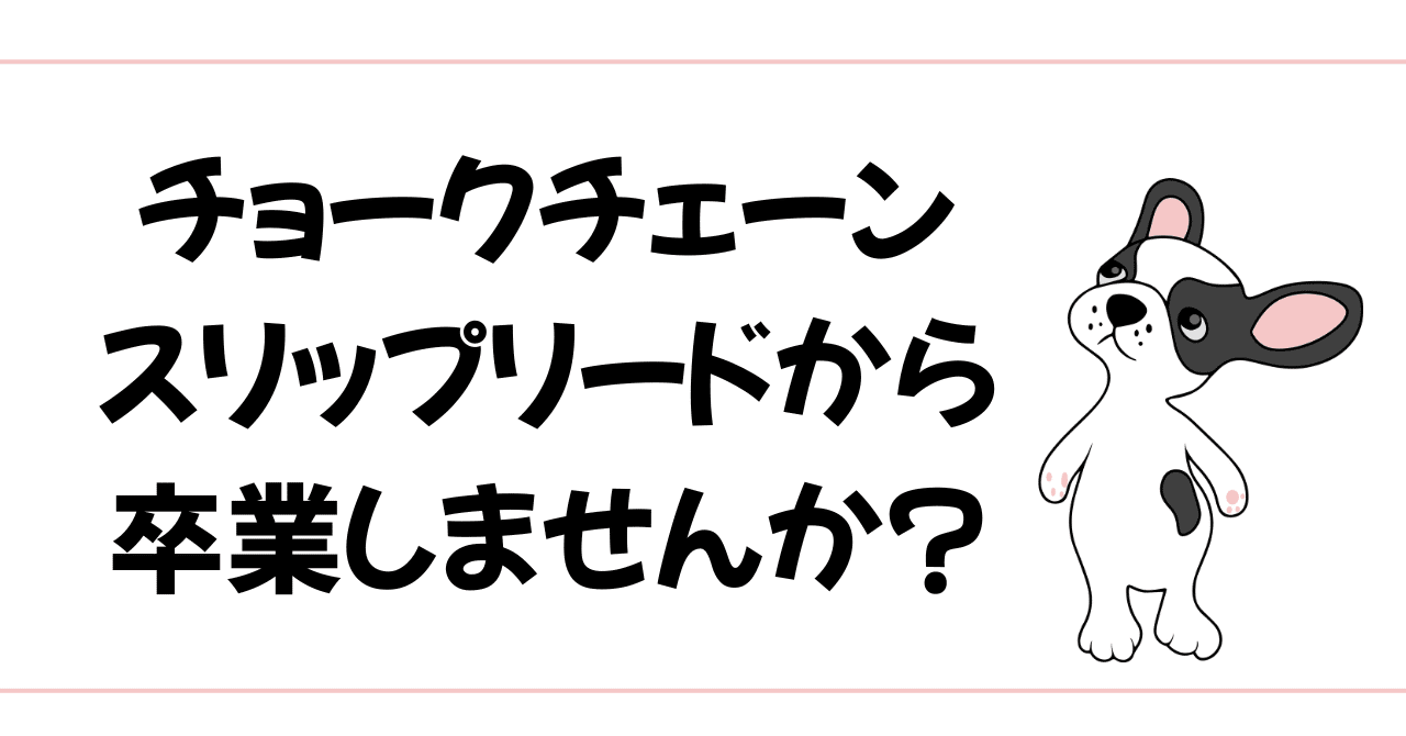愛犬のためのトレーニングツール選択ガイド：チョークチェーンやスリップリードから卒業しませんか？｜kaoru