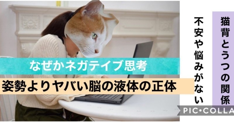 猫背とうつの関係【姿勢よりヤバい脳の液体の話】プチ鬱とさようなら👋