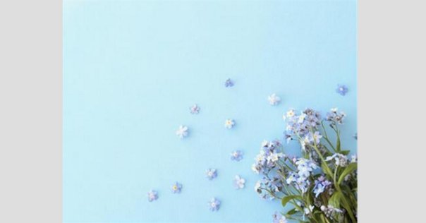 林檎も匂わない/あすなひろしさんのメッセージ(8月6日によせて)｜mio