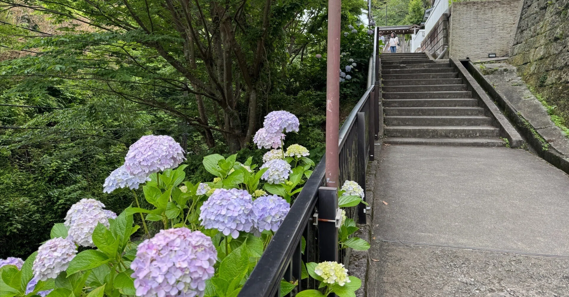 鎌倉街道 上道を走る 俣野～極楽寺坂～由比ガ浜｜dash2