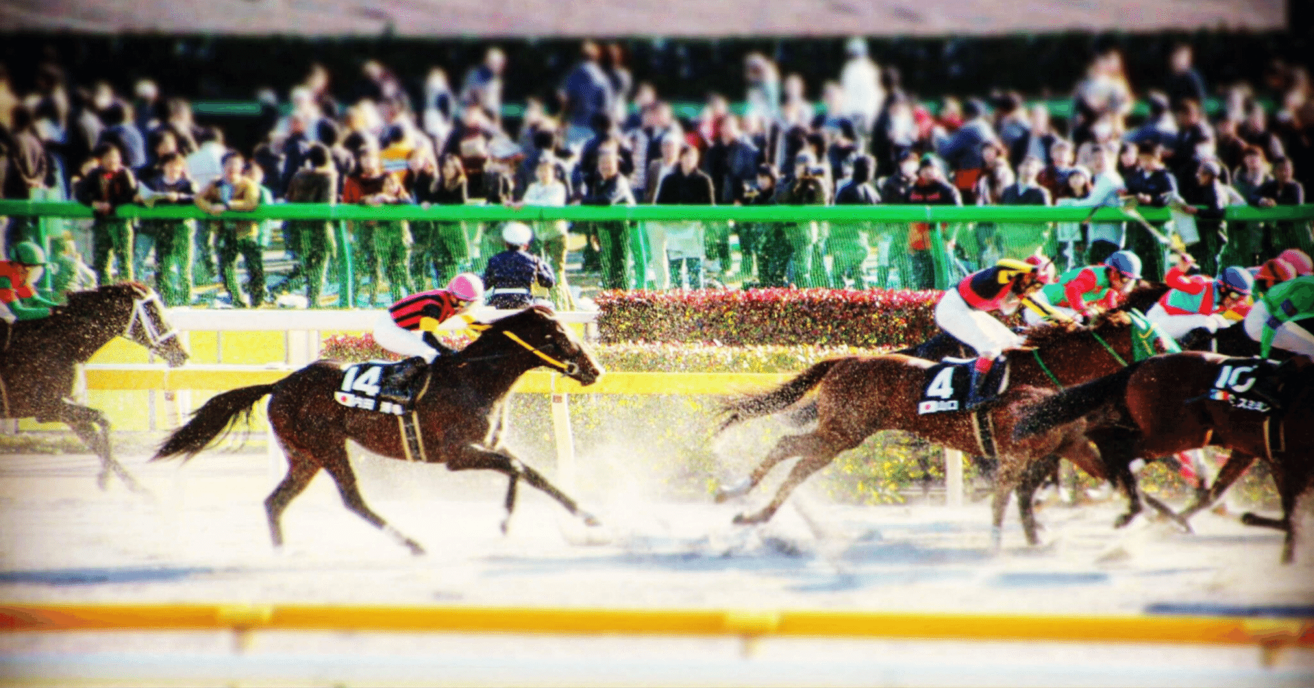 単勝：勝つ馬を1頭当てるシンプルで奥深い馬券｜穴田広太｜競馬note