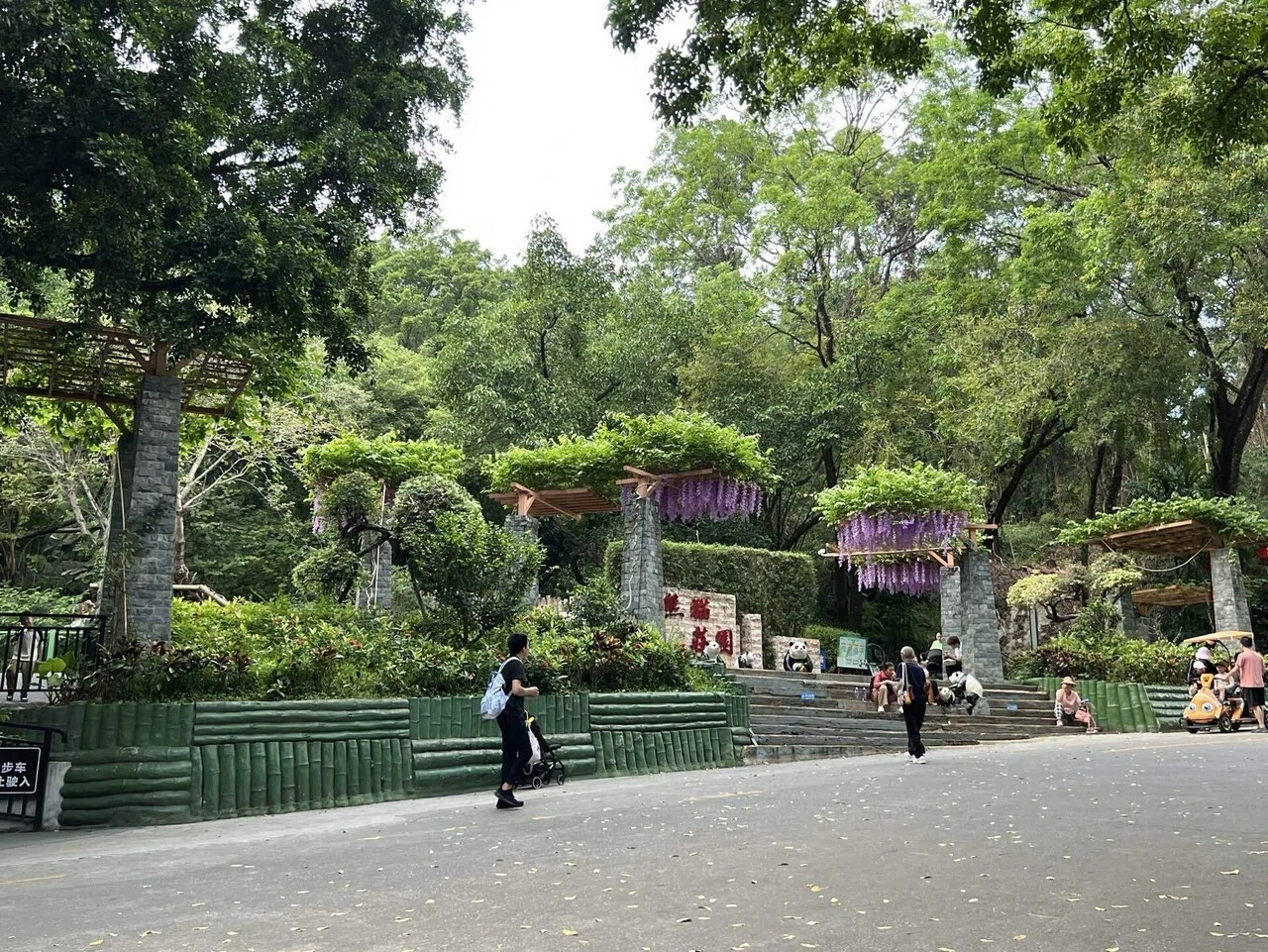 Useful Information for Visiting Shenzhen Safari Park｜ニシ