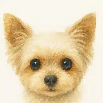 HANAママ