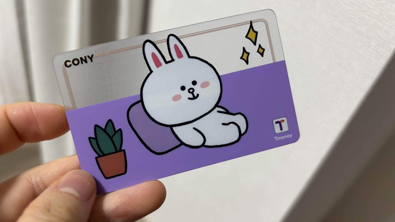 徹底比較】韓国旅行で使えるWOWPASS・気候同行カード・T-money どれが