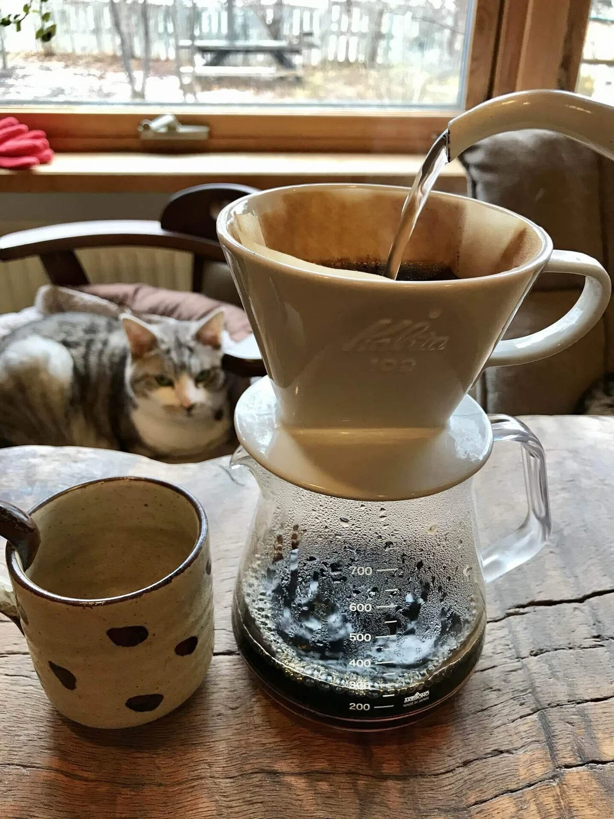 [Coffee Essay] The Day I Met Coffee. [Part 1]｜sato |珈琲と本と旅のお店 sathi coffee