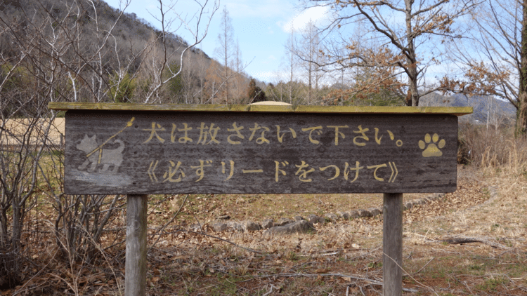 フリー写真 フリー素材 02 ヤマ Note