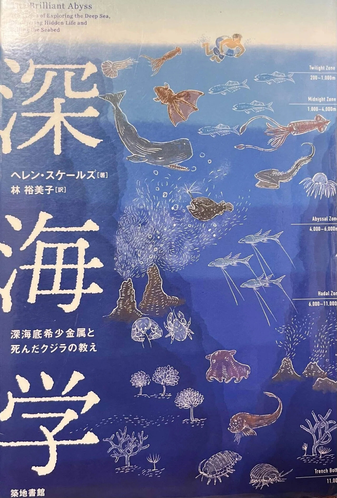 深海学」を読んで｜カンナ