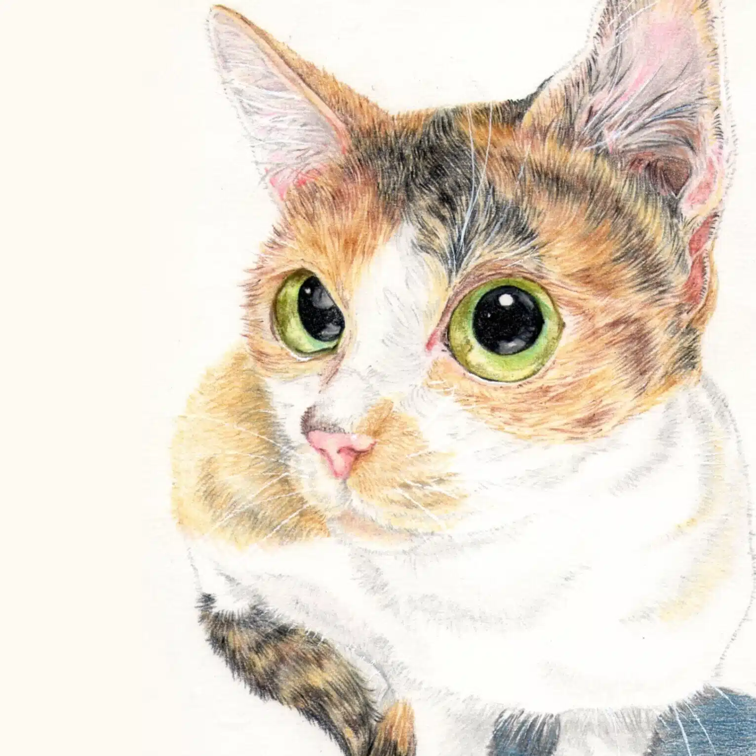 猫灯夜譚