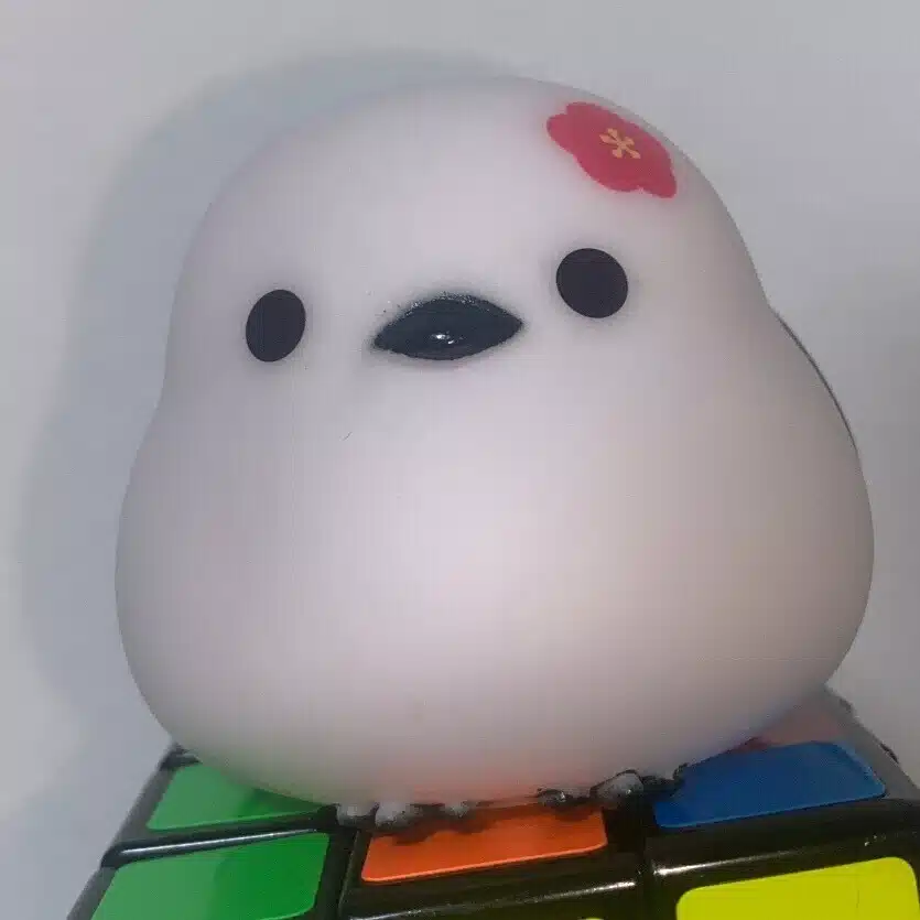 裏ちむ