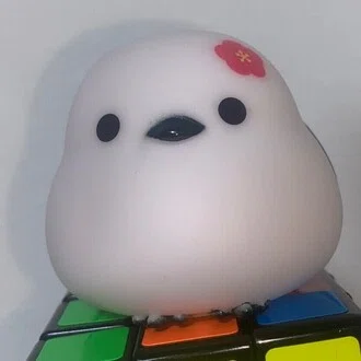 裏ちむ