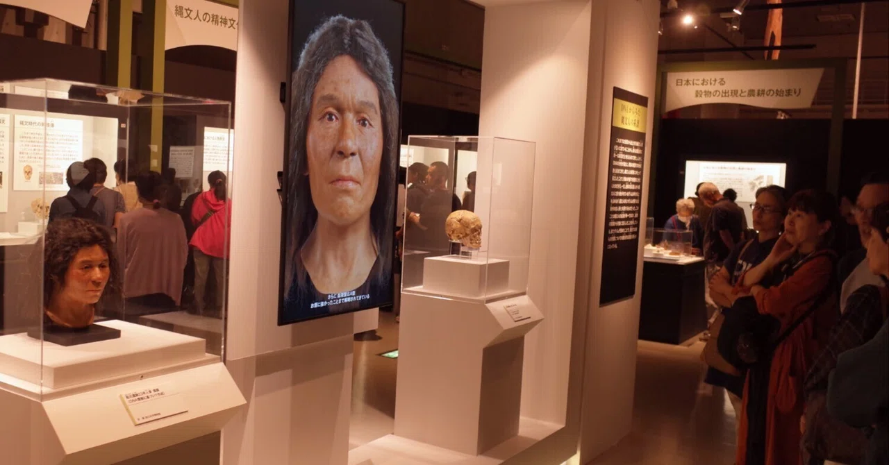 古代DNA 日本人のきた道｜藤井満