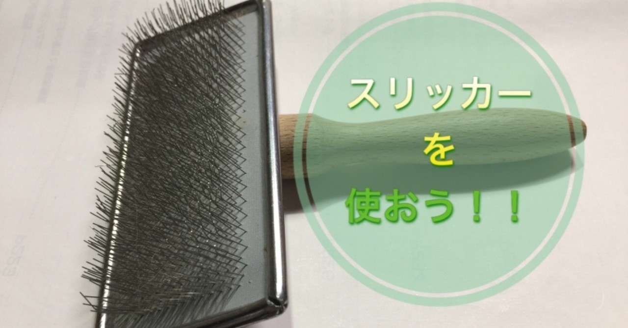 初心者でもできる 犬のブラッシング スリッカー編 ドッグライフサポーター 獅子パパ Note