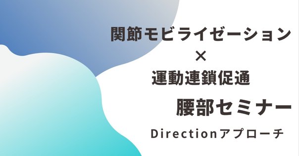 究極の仙腸関節アプローチ　DVD3枚組　清水六観 整体DVD】究極の仙腸関節アプローチ DVD3枚組 清水六観 - メルカリ