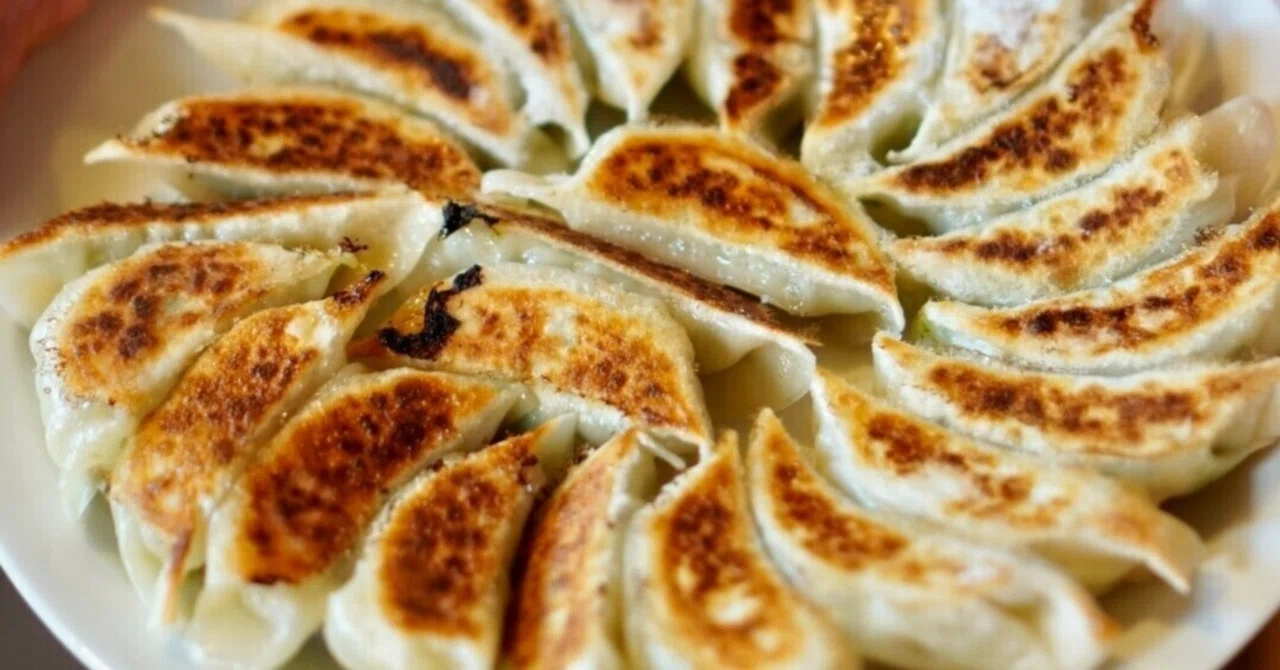 餃子から始まった、僕のひとり旅