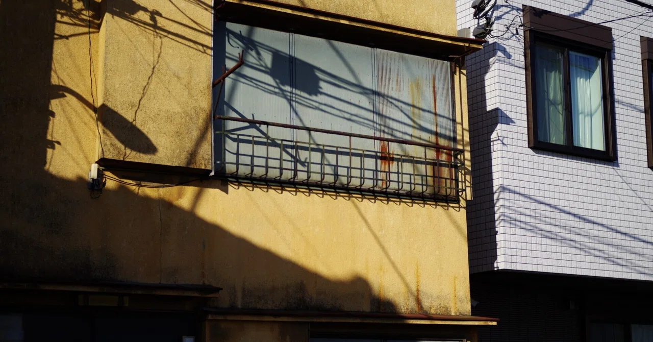 お散歩写真記 ＃13｜tomitomi_otomi