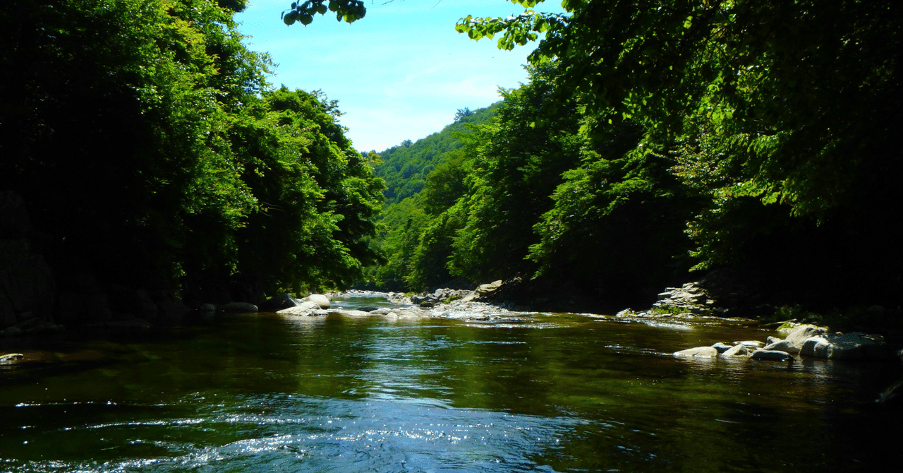 AI開発最前線🚀 カンバンアプリxPython高速環境x問題解決の新手法 ~トレンドIT技術TOP3|技術魚拓🎣@フォロバ100