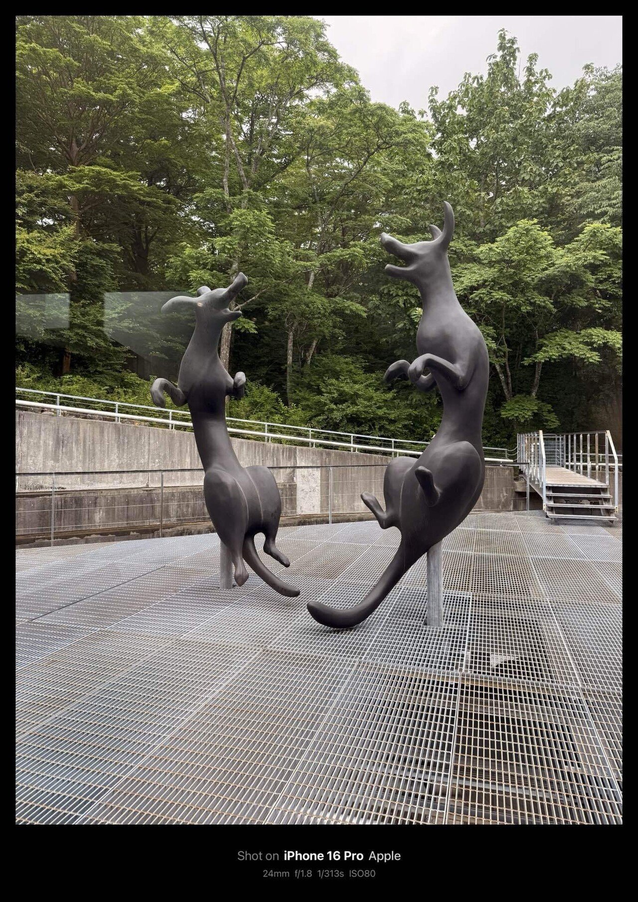 ポーラ美術館 / POLA MUSEUM OF ART(Kanagawa, Japan)｜N.Hagimoto
