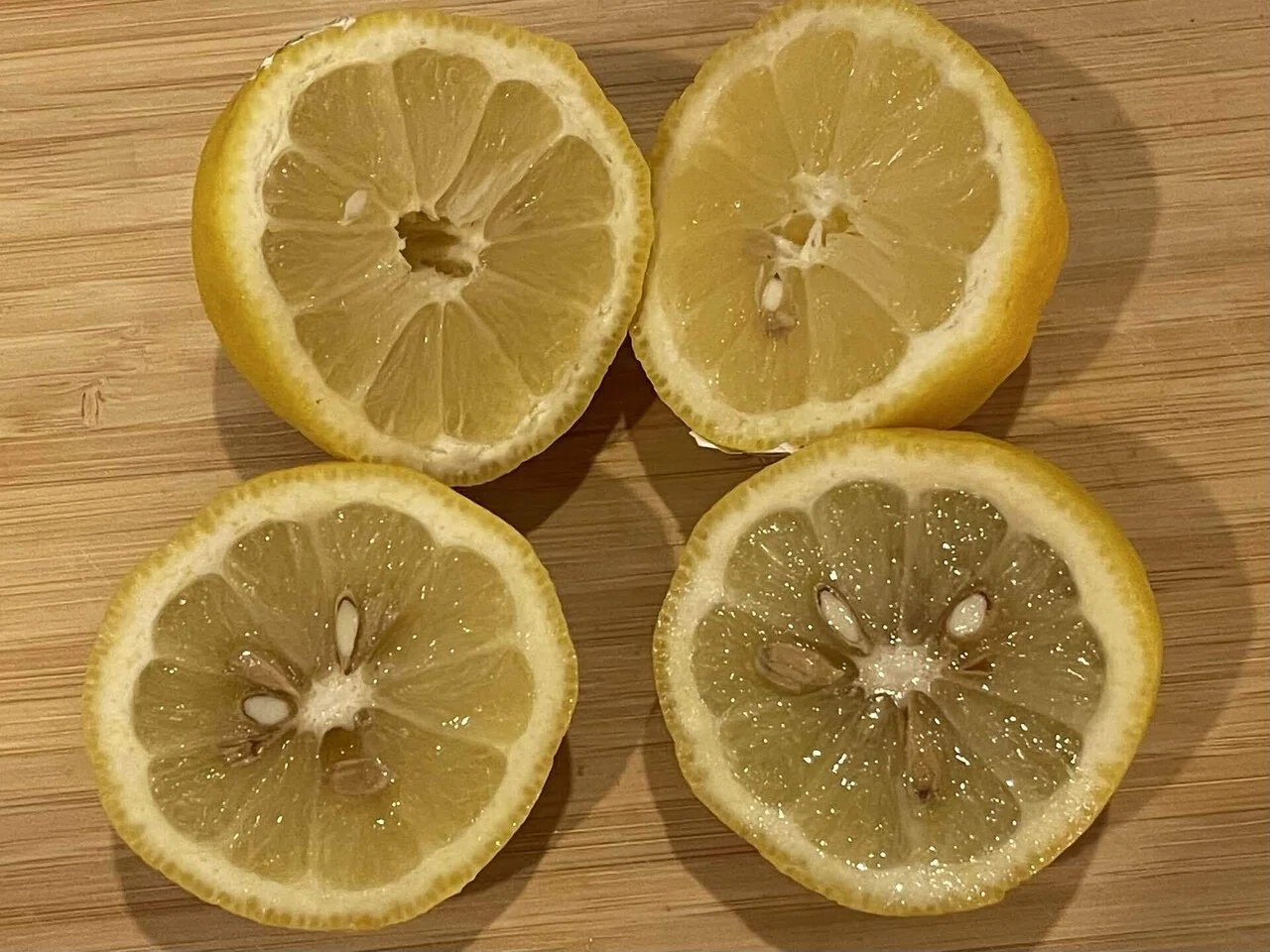 🍋大江屋レシピ #236 「レモンパスタに挑戦！」🍋｜SENRI OE 大江千里