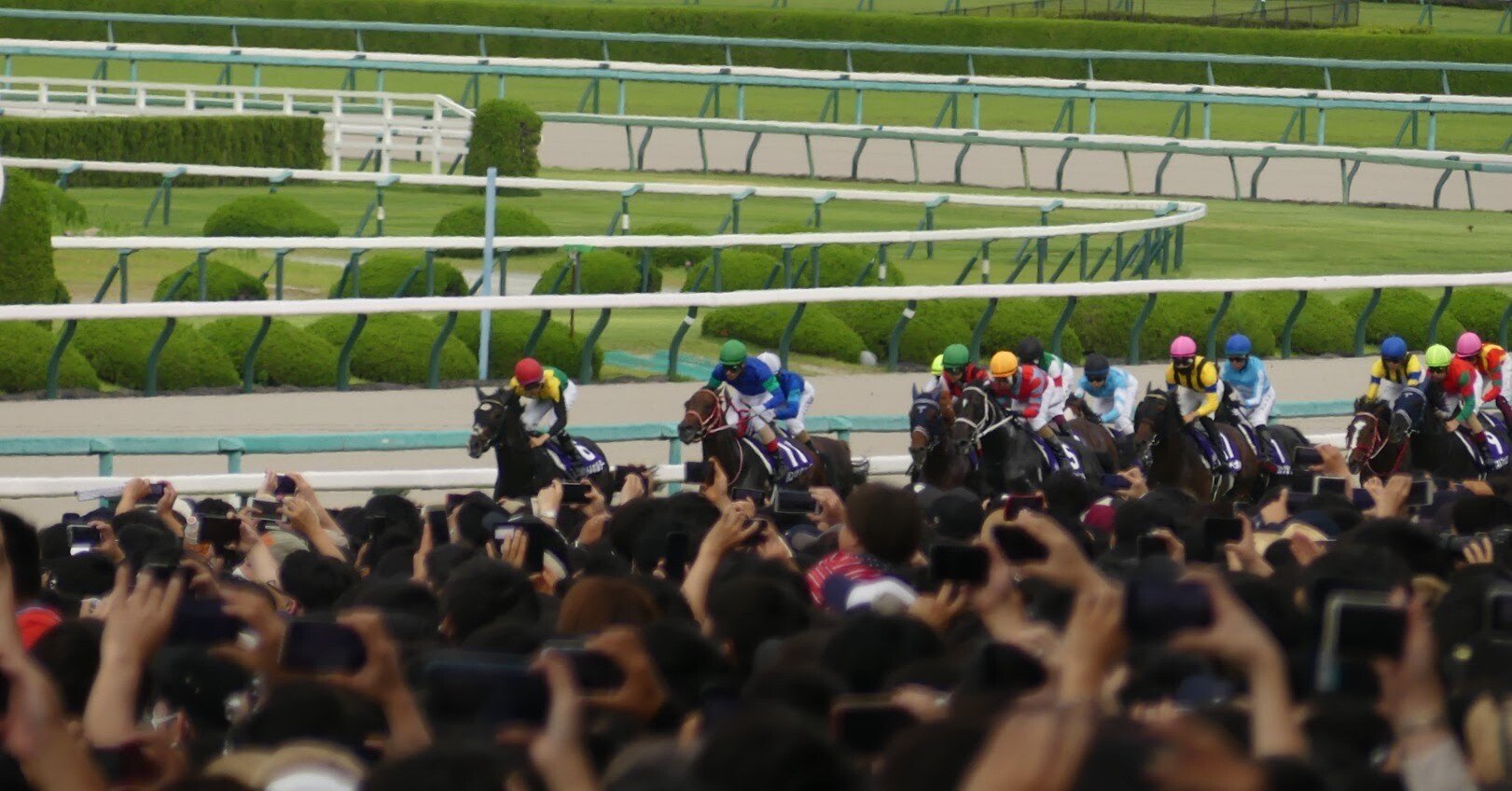 馬車が走る Good Day⛰️ #バリバリマシン #走り屋 #80s #90s #zxr250 #4st