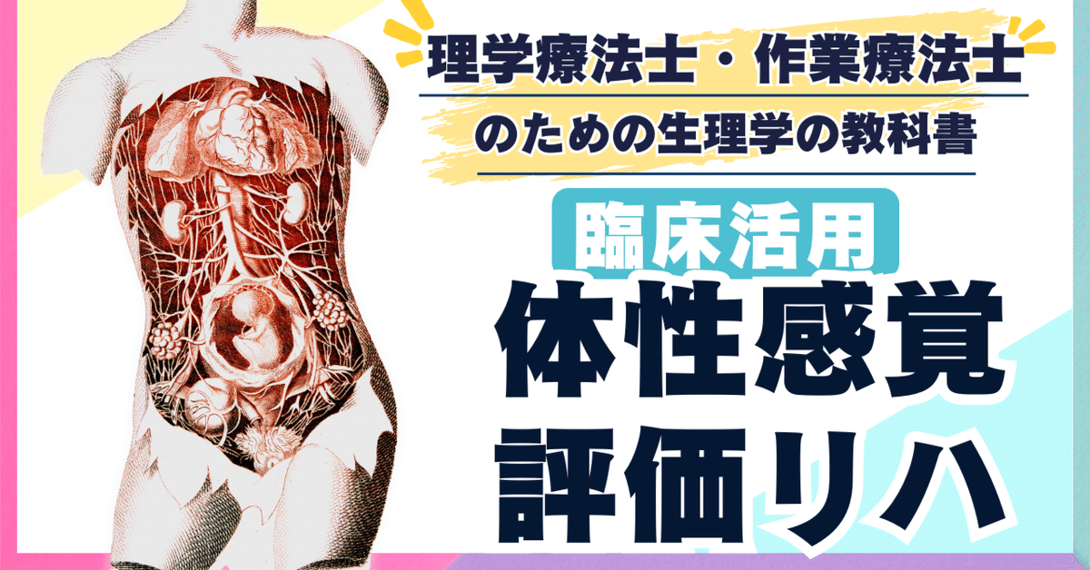 PT・OT・STのための解剖学 臨床応用のための画像解剖学