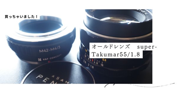 楽天市場】レンズフード EW-53 ET-54B レンズフィルター 49mm