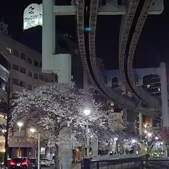 花筏
