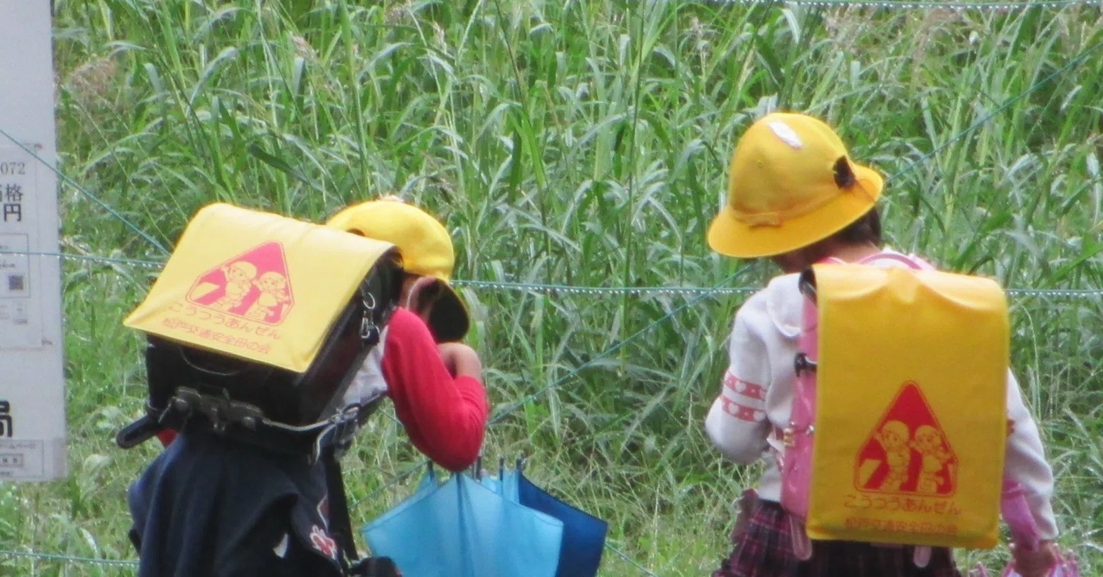 小5 SAPIX 6月マンスリーテスト！鬼門と聞いていたけれど…｜シン・理系