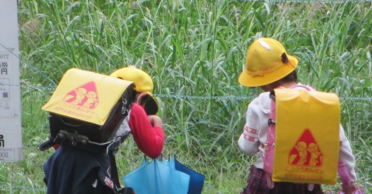小5 SAPIX 6月マンスリーテスト！鬼門と聞いていたけれど…｜シン・理系