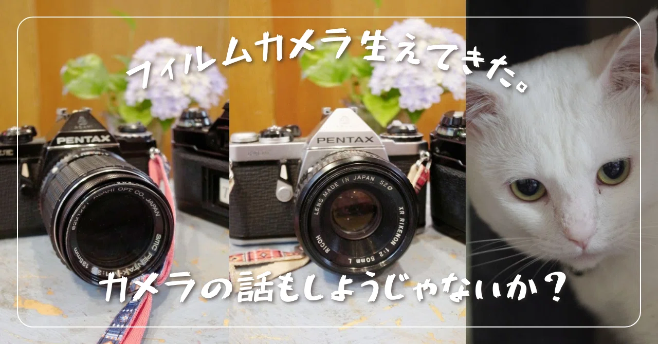 完動品 PENTAX ME SLR フィルムカメラ Ricoh 50mm f2 Pentax ME Super with 50mm F2 SLR film camera 35mm - Serviced