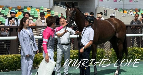 馬の瞳を見つめて(増補版)22｜渡辺はるみ