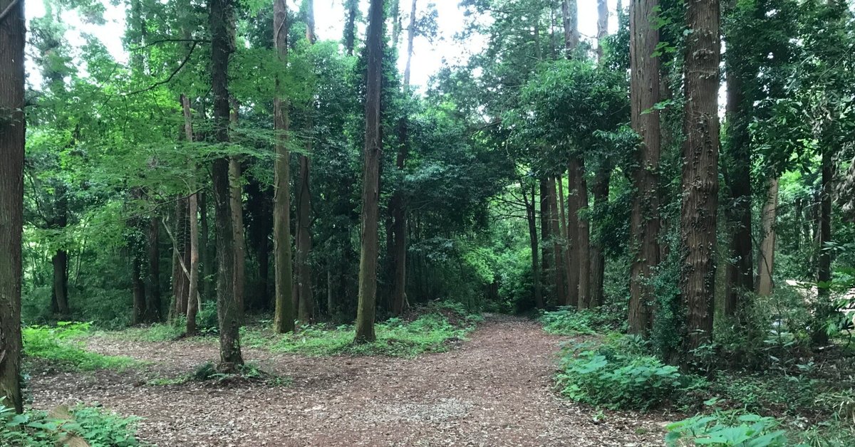 31 折りたたみ自転車で輪行ソロキャンプ/Bukotsuの森（略して