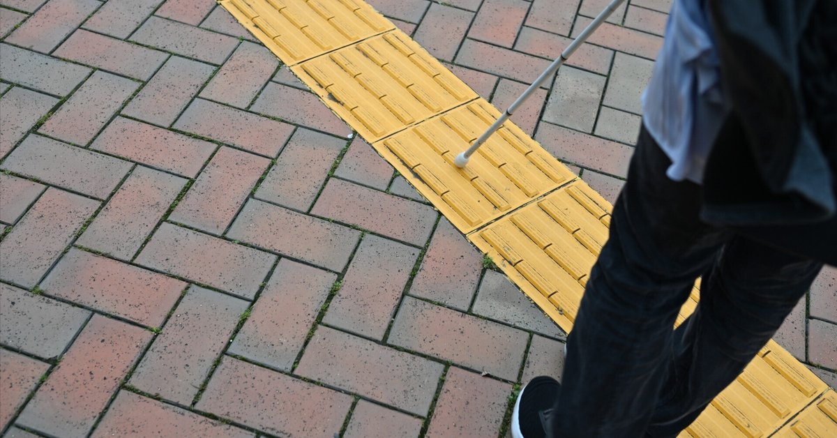 洋書　貴重　視覚障害のある学生を支援するための教師向けガイド　アイリーンスコット AAIDD知的障害マニュアル 第12版 定義・診断・分類および