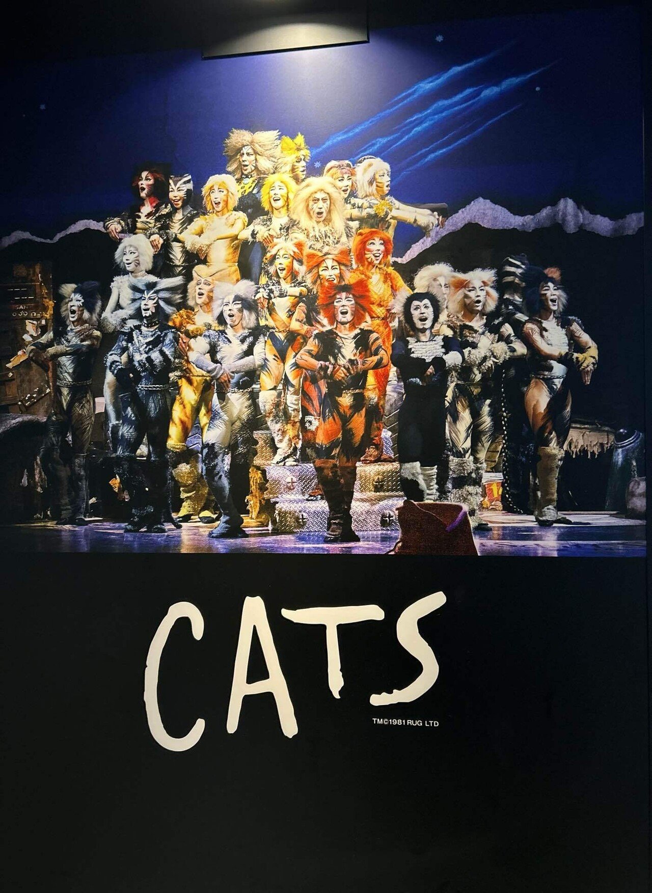 劇団四季「CATS」感想(25/06/14)｜冷めたピラフ
