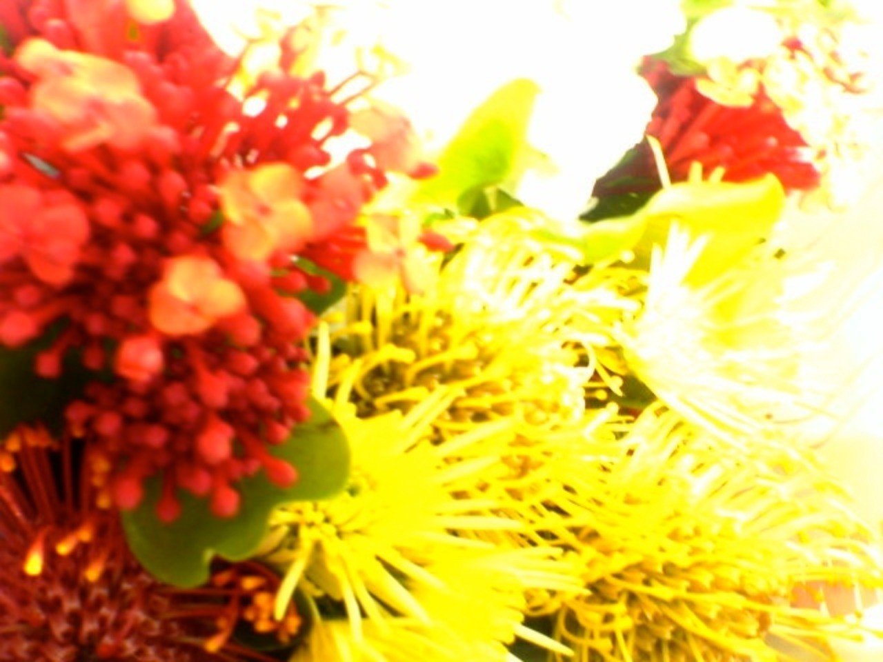 死にたいほど悲しかったのに お腹が減った自分が凄く嫌だった日のこと サーシュ Note