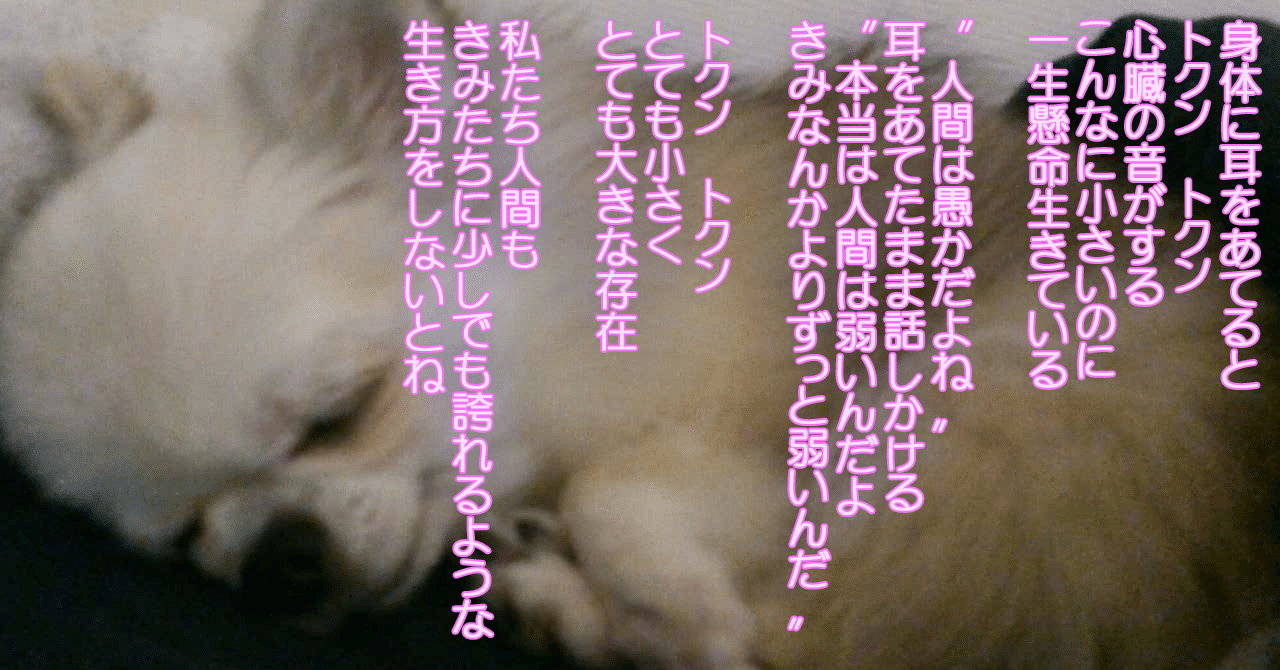 トクン トクン 写真加工ver 冬咲れい Note トクン トクン 写真加工ver 冬咲れい Note