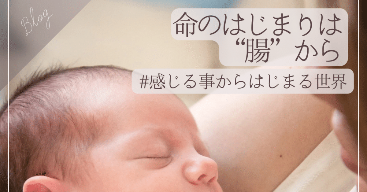 命のはじまりは“腸”から｜Yurieモンテッソーリ教師|2児ママ