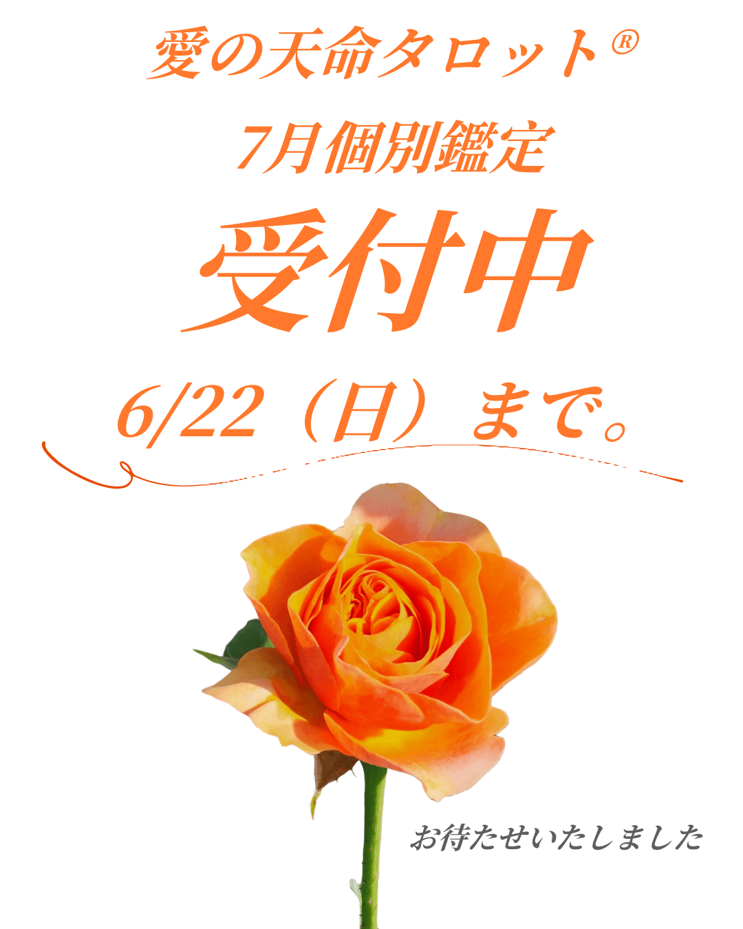 占いTVニュース | 5月25日(日)は『乙女座』が1位♪ ☆本日生まれ
