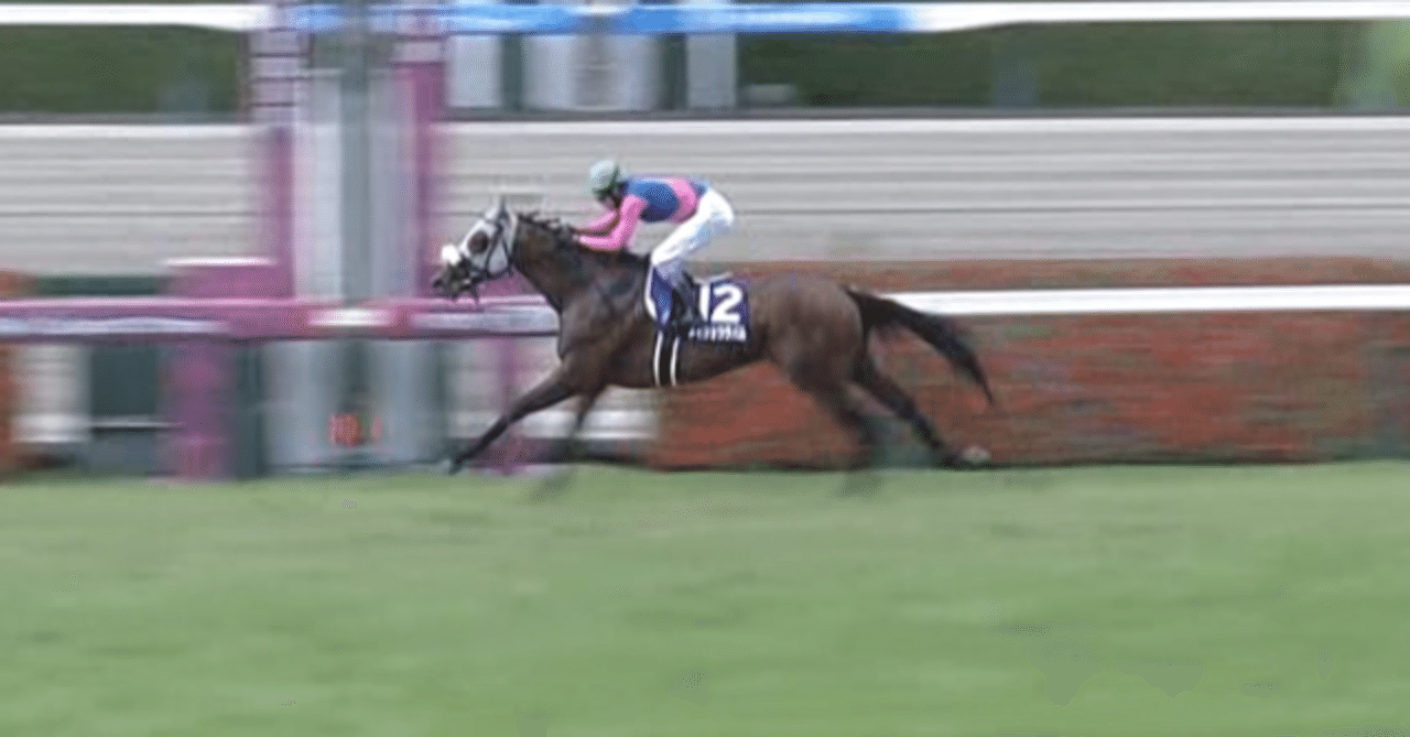 現地単勝　2003年オークス スティルインラブ 　おまけ2005宝塚記念 03年三冠牝馬スティルインラブ今明かされる秘話 | 競馬ニュース