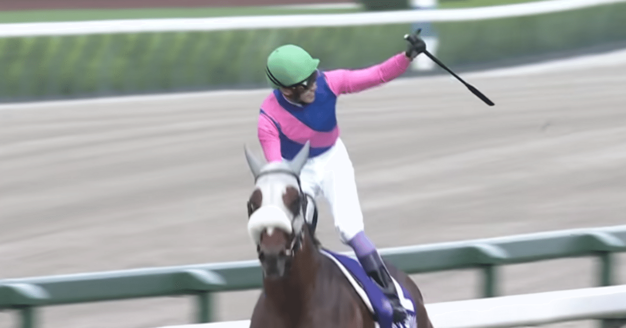 メイショウタバル　2025 宝塚記念　現地単勝馬券 メイショウタバル 2025宝塚記念 応援単勝馬券【カラーコピー】＋