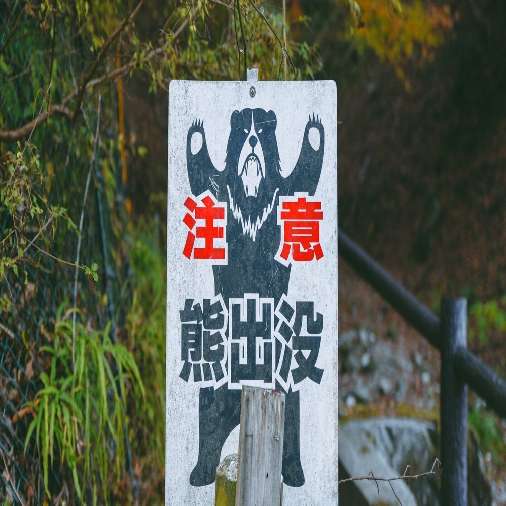 あなたの隣に、クマがいる。日本を揺るがす「アーバンベア」問題の真相